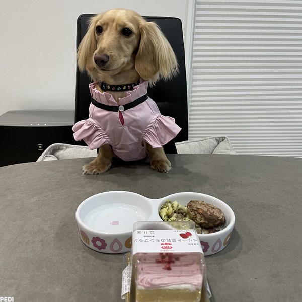 くうちゃん