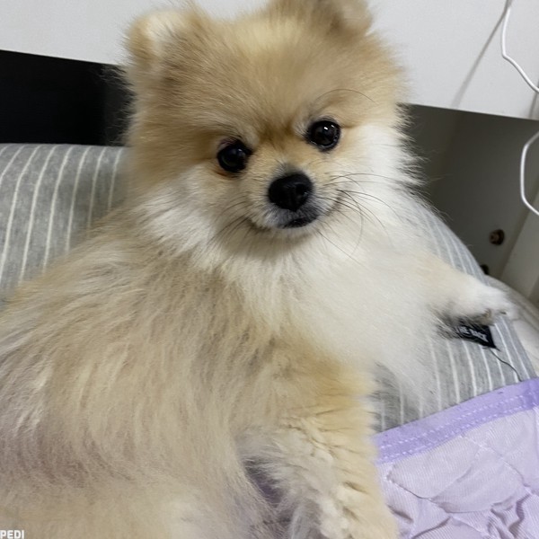 もっちちゃん