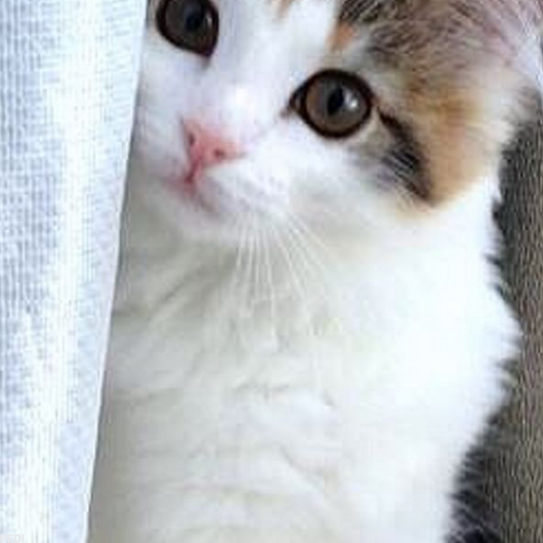 るちあちゃん