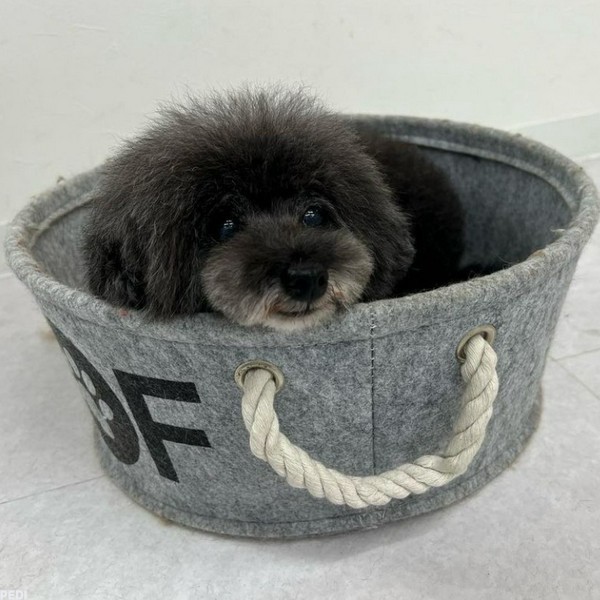 くぅちゃん