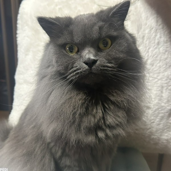 まるくん