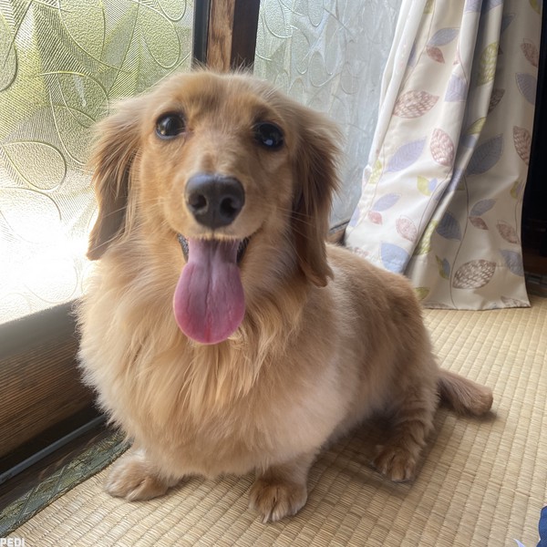 えるちゃん