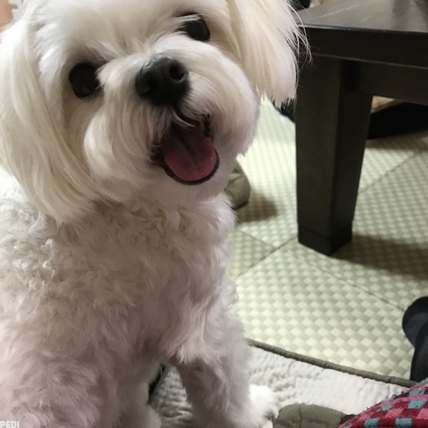 エリンちゃん