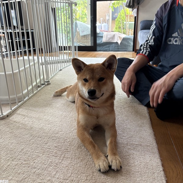 すずちゃん