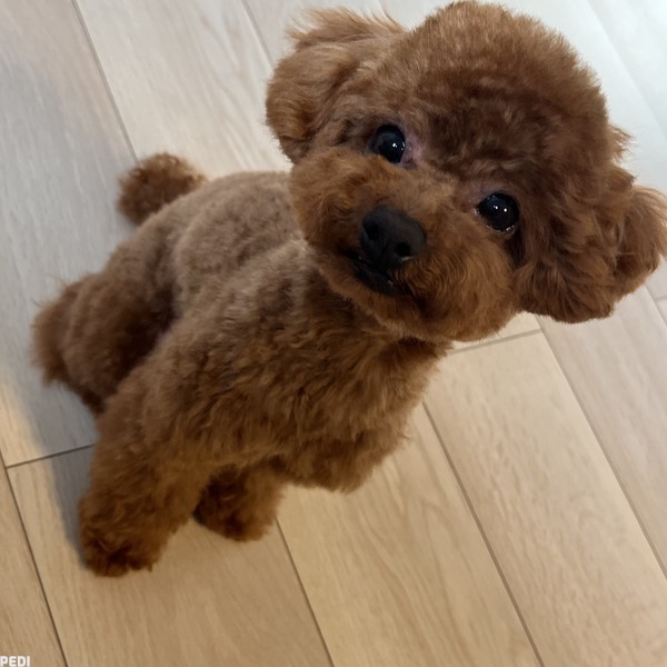 ライくん