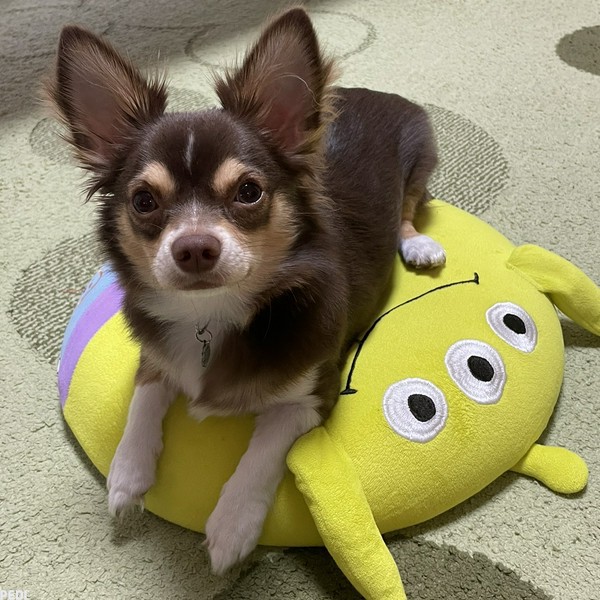 バスターくん