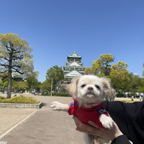 ごん汰くん