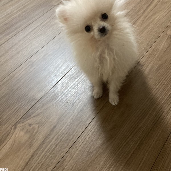 つきみくん