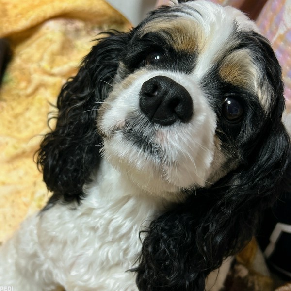 ルークくん