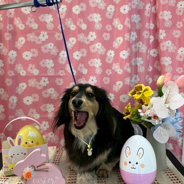 むぎくん