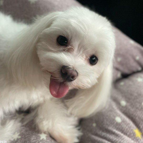 空瑠夢ちゃん