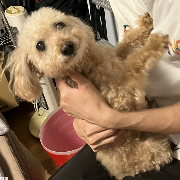 ねねちゃん
