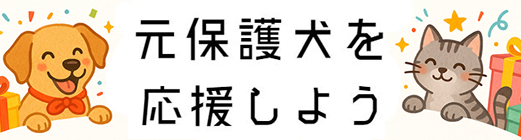 保護犬・保護猫