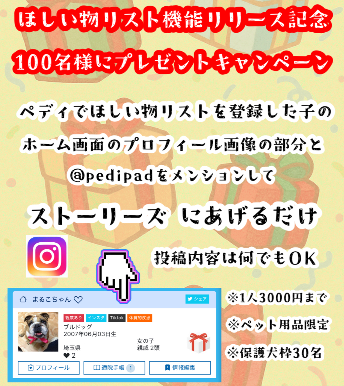 メイン広告